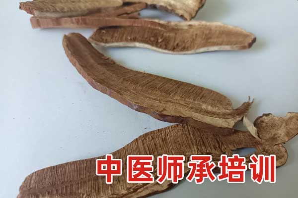 盘锦中医师承怎么报名？拜师怎么找老师？