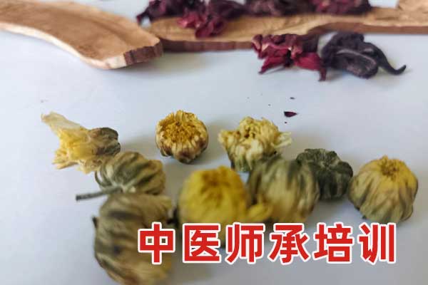 鞍山中医师承报考条件和费用