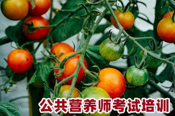 朔州公共营养师考试培训价格费用多少钱